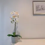 Vivienda Turistica Junto Al Ayuntamiento Apartment Bilbao